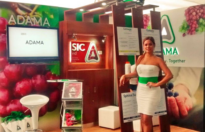SIUVA 2015 B